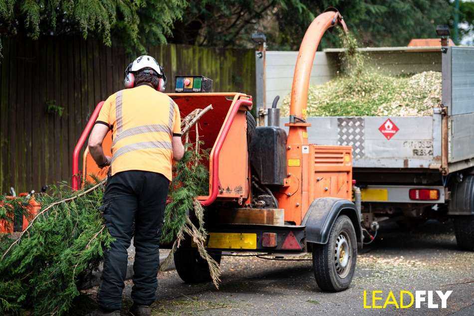 seo for tree surgeons